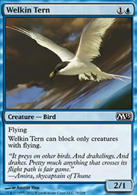 Welkin Tern - 