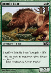 Brindle Boar - 