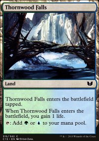 Thornwood Falls - 