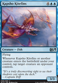 Kapsho Kitefins - 