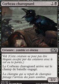 Corbeau charognard - 