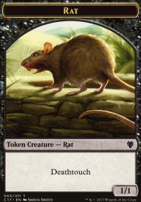 Rat - 