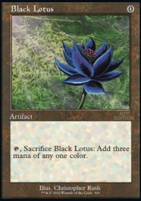 Lotus noir - 