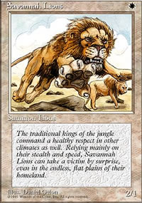 Lions des savanes - 4th Edition