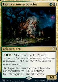 Lion  crinire boucle - 