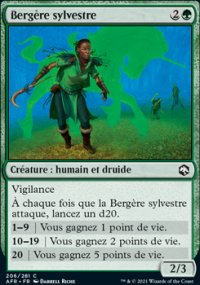 Bergre sylvestre - 