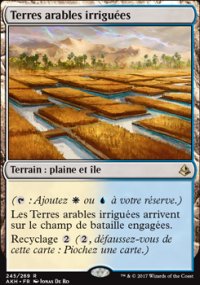 Terres arables irrigues - 