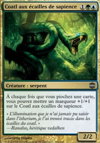 Coatl aux cailles de sapience - 