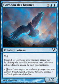 Corbeau des brumes - 