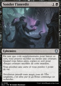 Sonder l'interdit - Bloomburrow Commander Decks