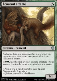 cureuil affam - Bloomburrow Commander Decks