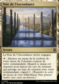 Voie de l'Ascendance - Bloomburrow Commander Decks