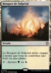 Bosquet de Solptal - Bloomburrow Commander Decks