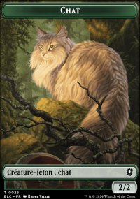 Chat - Bloomburrow Commander Decks