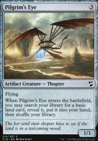 Pilgrim's Eye - 