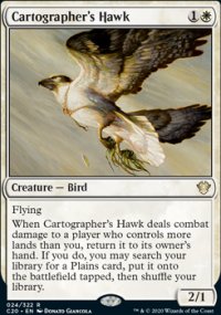 Cartographer's Hawk - 