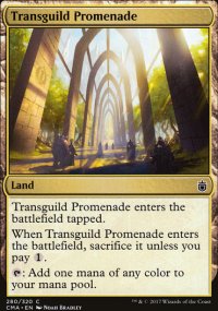 Promenade transguilde - 