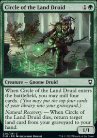 Circle of the Land Druid - 