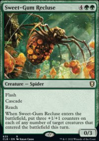 Sweet-Gum Recluse - 