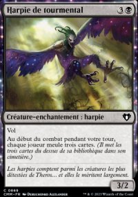 Harpie de tourmental - 