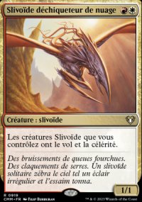 Slivode dchiqueteur de nuage - 