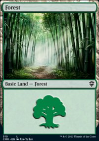 Forest - 