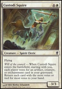 Custodi Squire - 