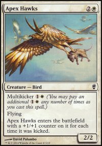 Apex Hawks - 