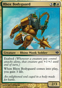 Rhox Bodyguard - 