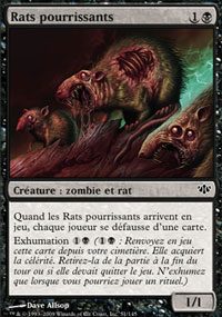 Rats pourrissants - 