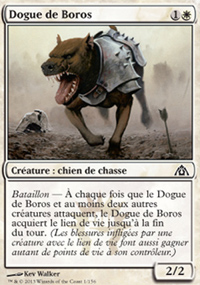 Dogue de Boros - 