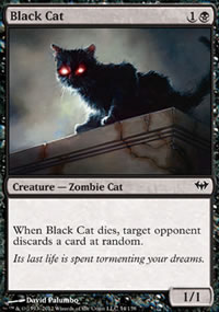 Black Cat - 