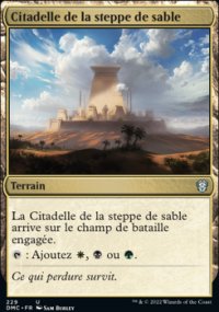 Citadelle de la steppe de sable - 