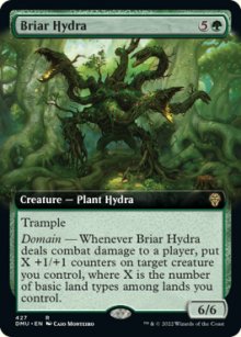 Briar Hydra - 