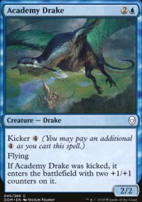 Academy Drake - 