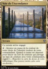 Voie de l'Ascendance - Aetherdrift Commander Decks