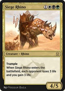 Rhinocros de sige - 