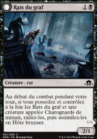 Rats du graf<br>Hte bruyant