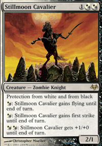 Stillmoon Cavalier - 