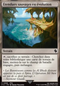 Étendues sauvages en évolution - Final Fantasy Commander Decks