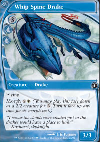 Whip-Spine Drake - 