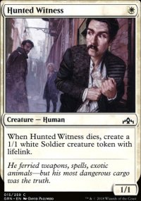 Hunted Witness - 