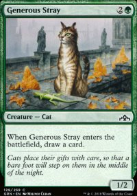 Generous Stray - 