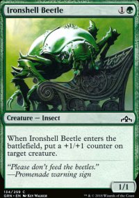 Ironshell Beetle - 