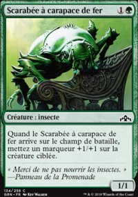 Scarabe  carapace de fer - 