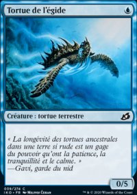 Tortue de l'gide - 