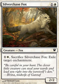 Silverchase Fox - 