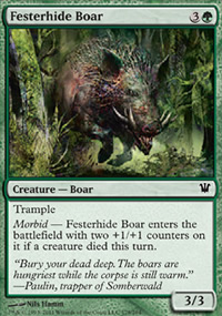 Festerhide Boar - 