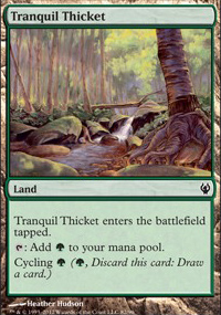 Tranquil Thicket - 