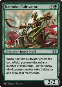 Cultivateur Nantuko - 